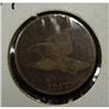 Image 3 : 1857 FLYING EAGLE CENTS