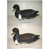 Image 1 : CAPT. HARRY JOBES COOT DECOYS