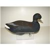 Image 2 : CAPT. HARRY JOBES COOT DECOYS