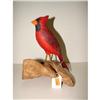 Image 1 : CARDINAL CARVING