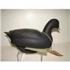 Image 2 : ROY WHITE, NORTH CAROLINA COOT DECOY
