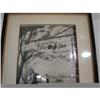 Image 2 : FRAMED DELAWARE PAINTING