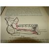 Image 4 : ‘GRAY’S ANATOMY’ BOOK