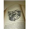 Image 5 : ‘GRAY’S ANATOMY’ BOOK