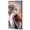 Image 2 : "American Redtail Hawk" Limited Edition Giclee Gallery Wrapped Canvas on Canvas