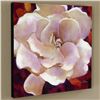 Image 2 : "Gardenia" Limited Edition Giclee on Canvas by Simon Bull, Numbered and Signed.