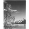 Image 1 : Adams - Grand Teton Wyoming