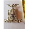 Image 1 : U.S. Military Spanish American war badge