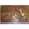 Image 1 : Misc. Interesting Keys including Skeleton Keys