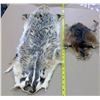 Image 2 : 2 Fur Pelts
