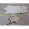 Image 3 : 2 Fur Pelts