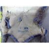 Image 4 : 2 Fur Pelts