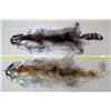 Image 1 : 2 Fur Pelts