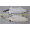 Image 3 : 2 Fur Pelts