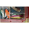 Image 6 : 2 Organizers & Fishing Lures