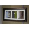 Image 5 : Halekala National Park Print & 3 Photo Frame