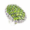 Image 1 : Natural Chrome Diopside & Amethyst Ring