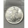 Image 1 : 1993 US SIlver Eagle