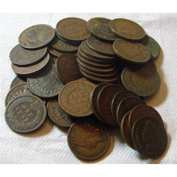 Lot of 50 Indian Head Cents - ag-g