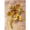 Image 1 : 18k Yellow Gold Brooch ORCHID #1800309