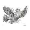 Image 1 : Picasso   Colombe Volante #1811120