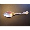 Image 1 : Sterling Halloween Spoon-Daniel Low #1812492