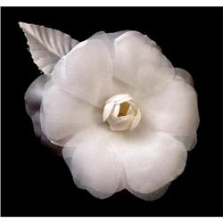  White Camellia Corsage #1813075