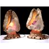 Image 1 : Pair of Lamps made with Snails #1822313