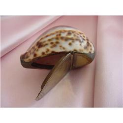 Victorian Cowrie Shell Snuff Box #1845093