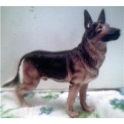Goebel  German Shepherd #1845127
