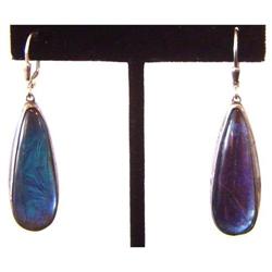 Pair of Antique Kingfisher Earrings #1845975