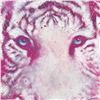 Image 2 : "Cat of the Cosmos" Limited Edition Giclee on Canvas by Stephen Fishwick, Number