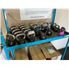 Image 1 : 2 X-PLODE 20LBS, 2 X-PLODE 15LBS, 11 X-PLODE 10LBS & 5 ASSORTED WEIGHT COMMERCIAL KETTLE BELLS