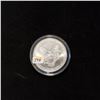 Image 2 : 2000 Silver Eagle Colorized