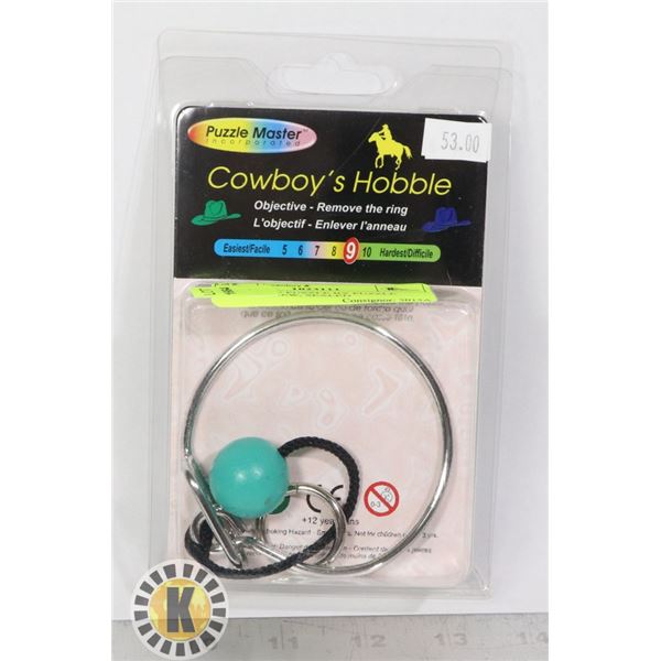 MISC. WIRE PUZZLE BY PUZZLE MASTER, NEW, SEALED