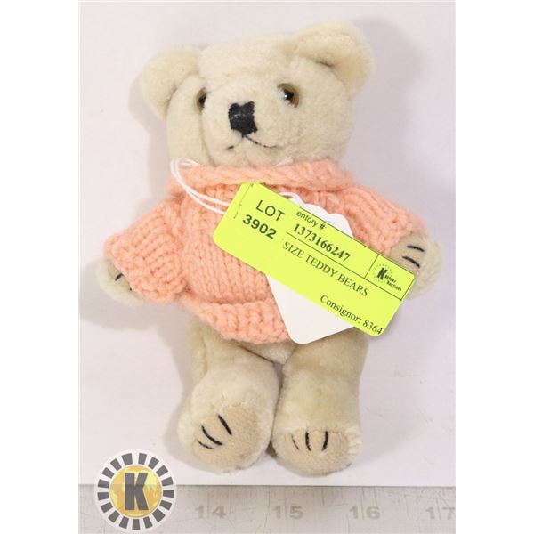 PUSH TINY SIZE TEDDY BEAR