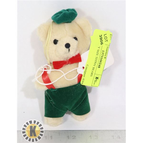 PUSH TINY SIZE TEDDY BEAR