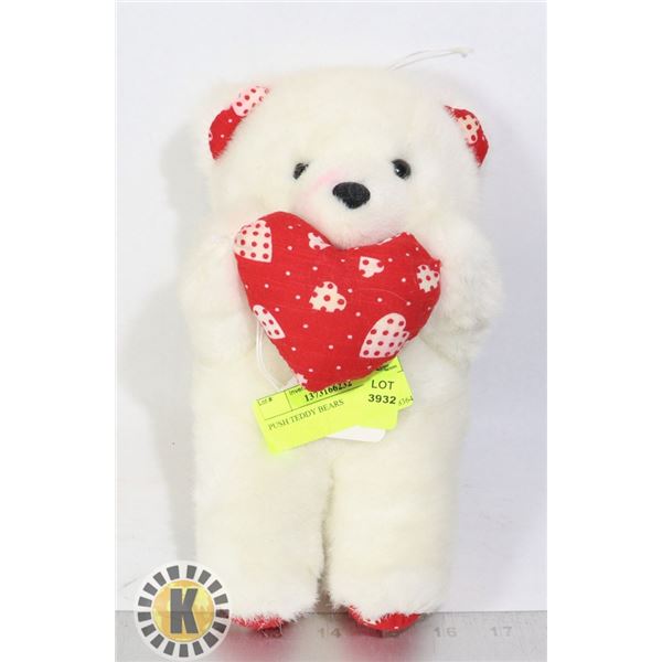 PUSH TEDDY BEAR