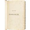 Image 3 : A fine three volume set of Magasin de Zoologie,
