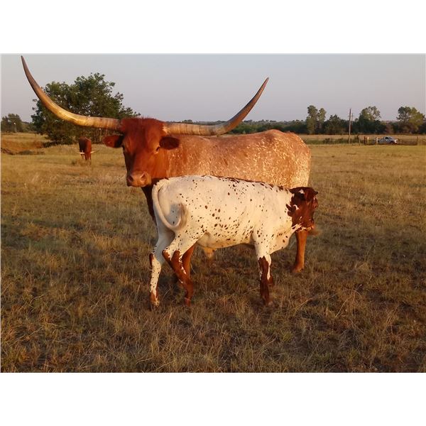 WI GOOD HEARTED WOMAN