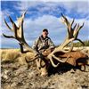 Image 1 : 5-Full day Argentina Big Game hunt for 1 hunter including Trophy Fee for 1 Red stag up to 320 SCI po