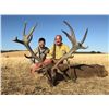 Image 1 : Spain - Giuseppe Carrizosa - Iberian Red Deer including Trophy Fee