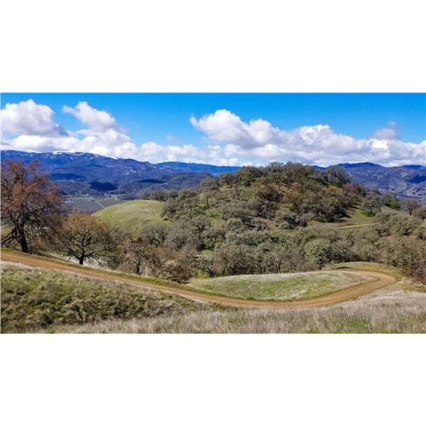 Amazing One Day Scouting/Three days Unguided Hunt for Two Blacktail Bucks