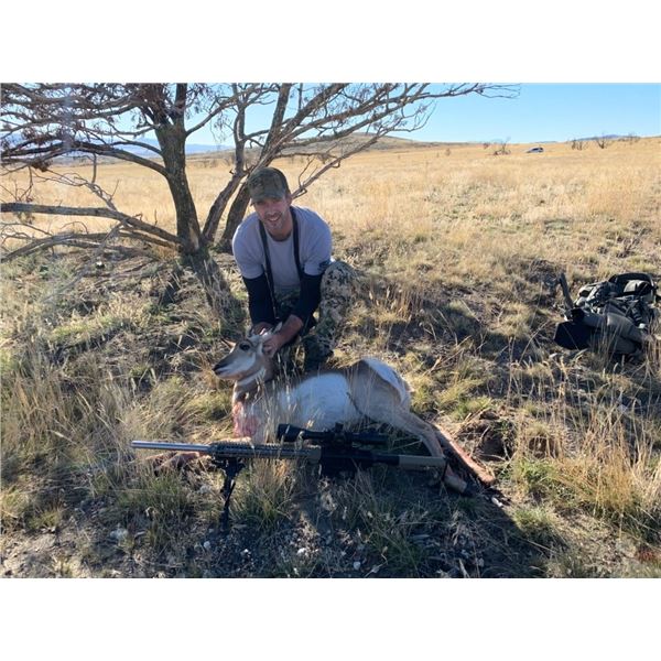 Utah DIY Antelope Doe Hunt