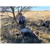 Image 1 : Utah DIY Antelope Doe Hunt