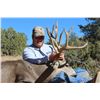 Image 2 : Arizona Archery Mule Deer Hunt