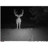 Image 3 : Arizona Archery Mule Deer Hunt