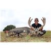 Image 4 : Arizona Archery Mule Deer Hunt