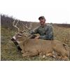 Image 2 : Wyoming Rifle Whitetail Deer Hunt