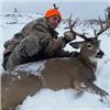 Image 3 : Wyoming Rifle Whitetail Deer Hunt
